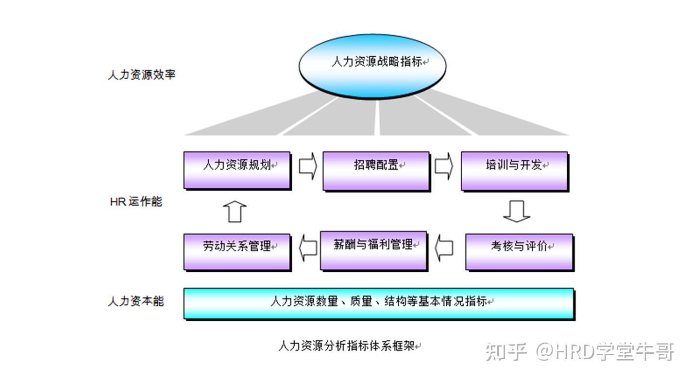 高级人力管理资源师_学习人力资源管理_如何学习人力资源