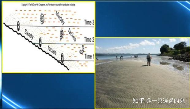 【地史学-学习记录】第三章 地层学 - 知乎