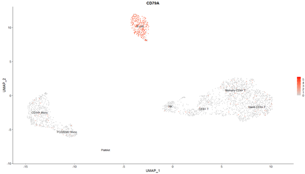 [单细胞|R]单细胞自动注释与手动注释 - 知乎