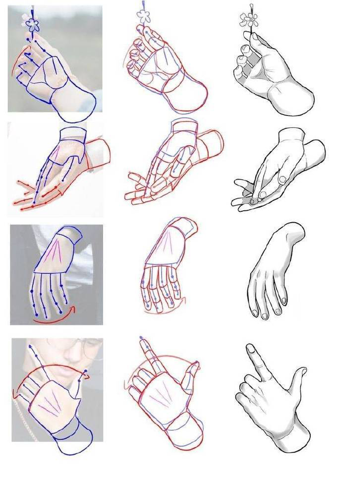 手的结构与画法 - 知乎