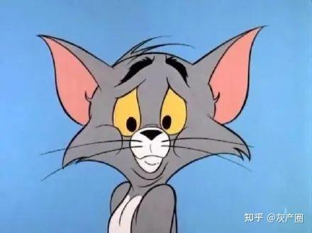 猫咪怎么叫老鼠才会怕 v2-ad3cc73e9c15e5afb821786d345e5e44_r.jpg