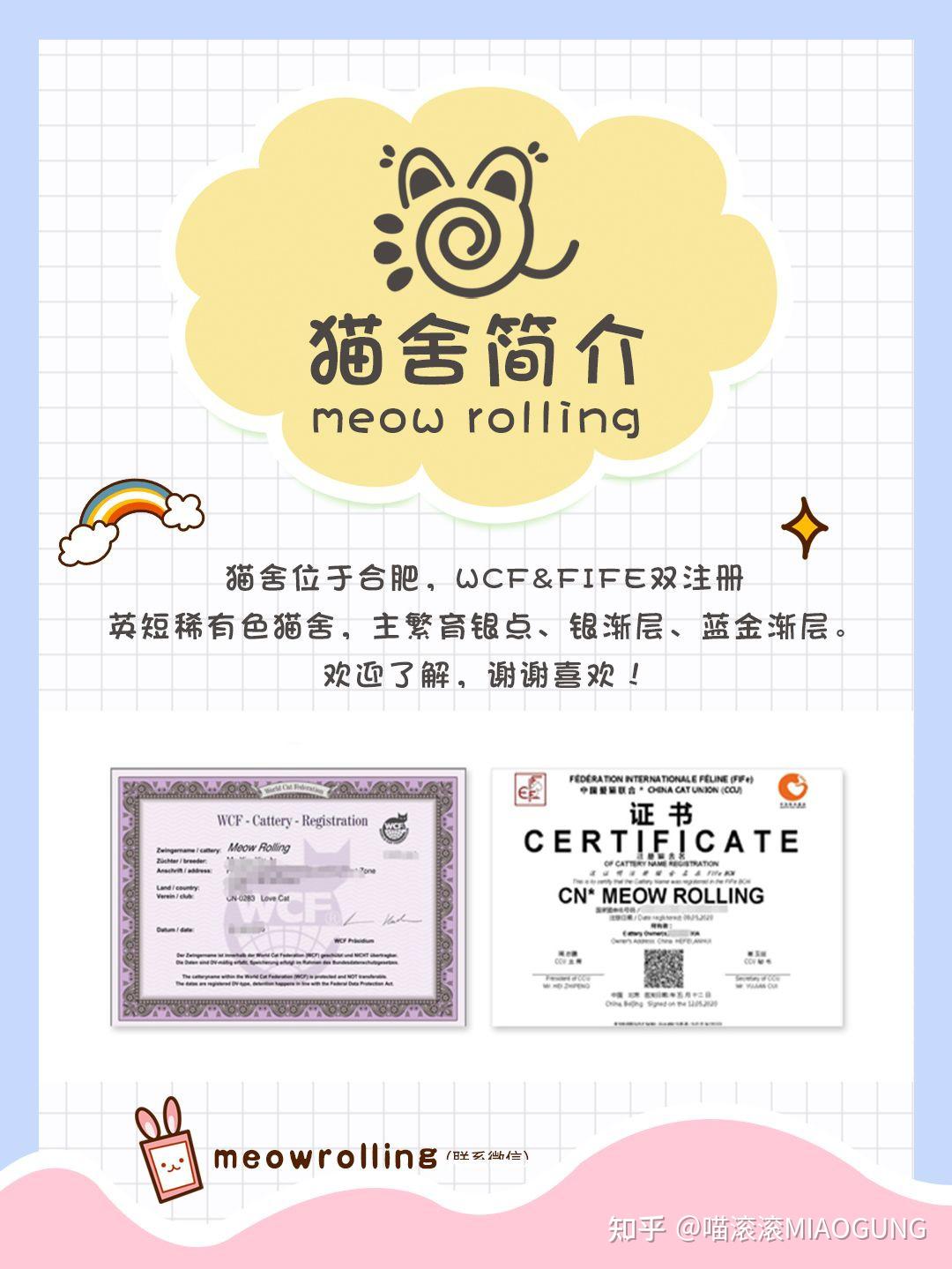 meowrolling英短猫舍简介
