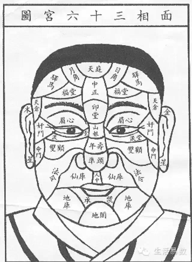 面相纹路图解图片