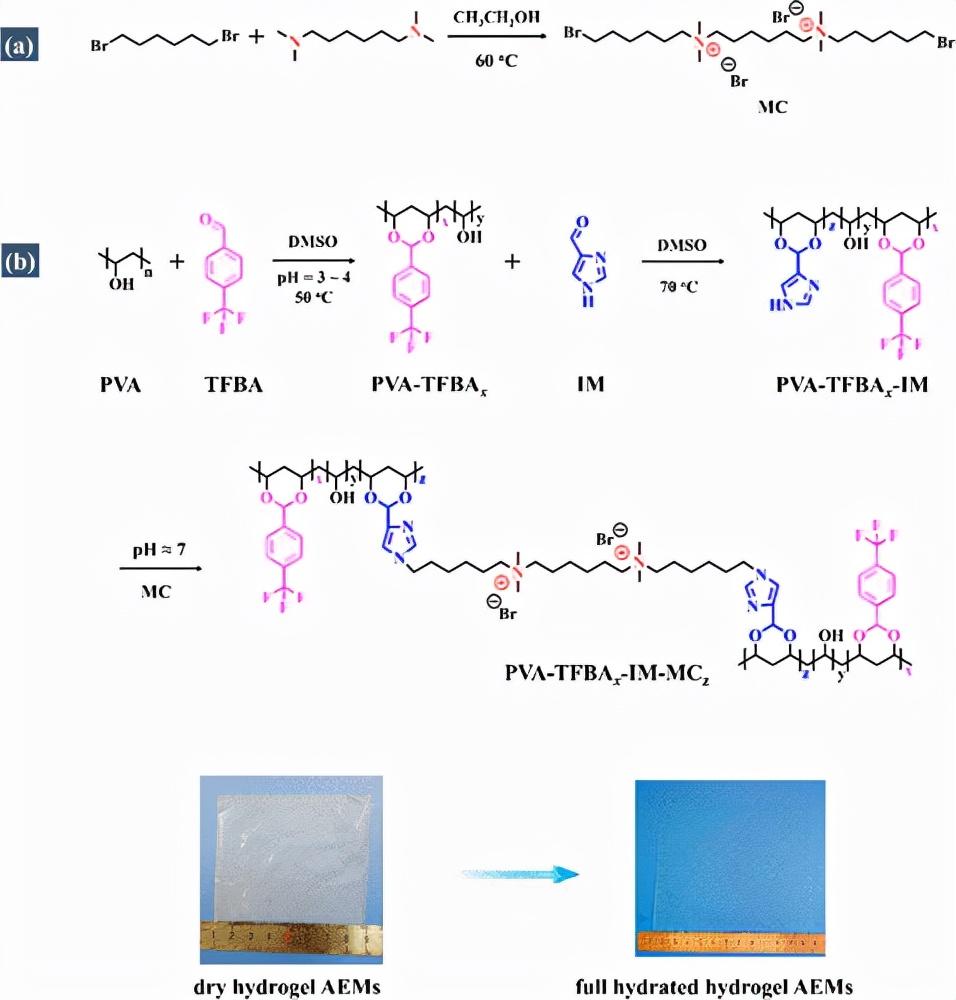 重庆大学王建川魏子栋pva水凝胶阴离子交换膜用于碱性燃料电池