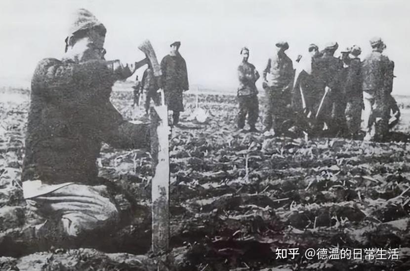 为啥新中国要消灭地主阶级?他们究竟犯下了什么“原罪”? - 知乎