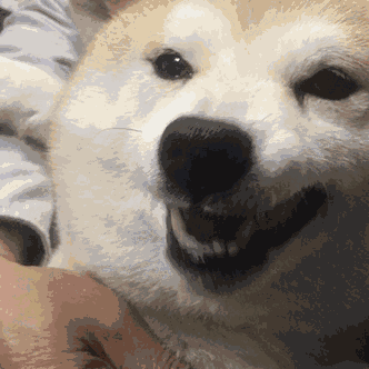 332_332gif 动态图 动图