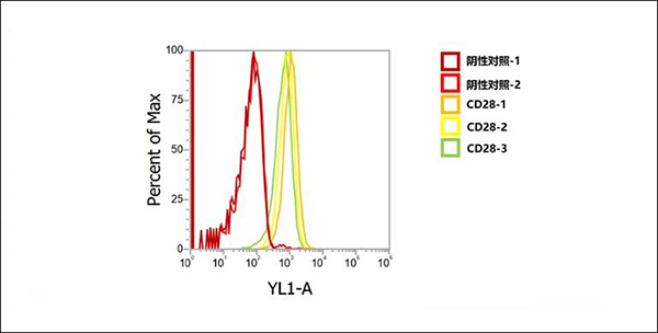 人源化CD28单抗，让你的T细胞药物开发如虎添翼 - 知乎