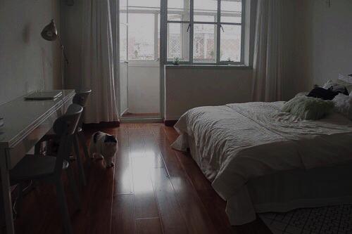 v2-ad69dbc31ccb2c75086b315069eff0a7_r.jpg