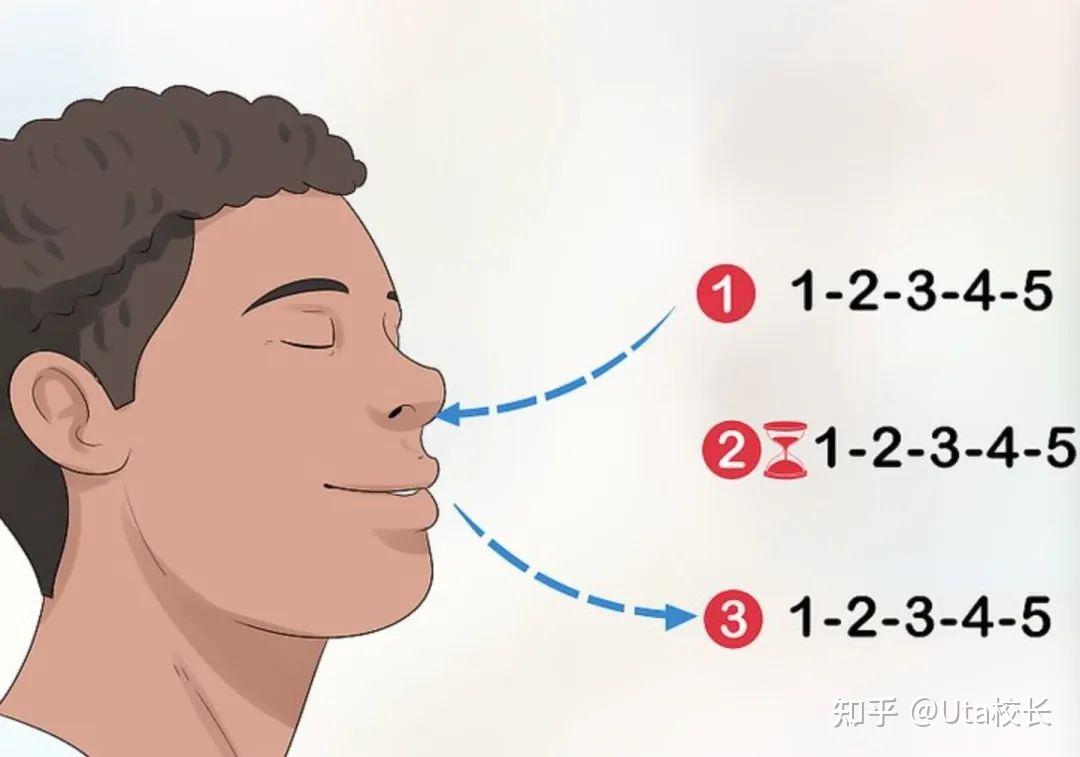 seo音乐课正确呼吸 zhuanlan.zhihu.com