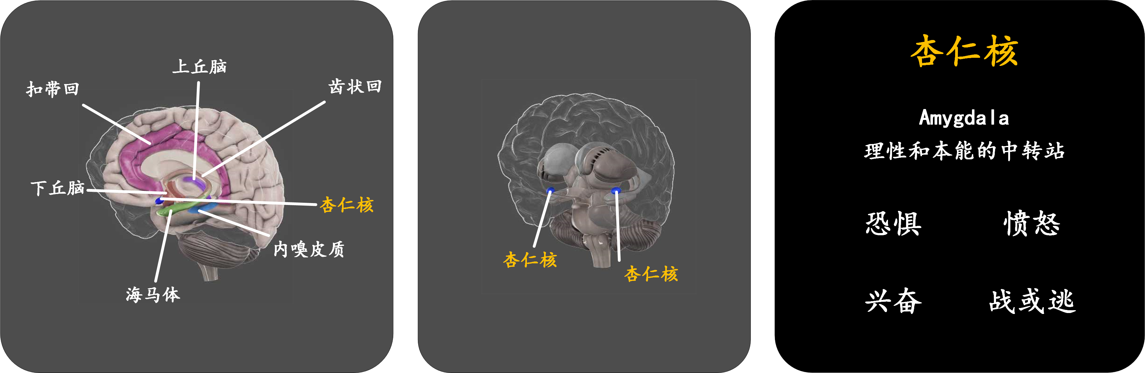 脑科学:现代人的一门重要必修课 - 知乎