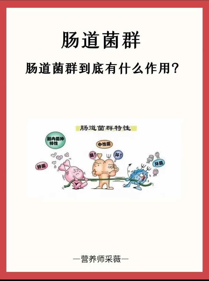 细说：肠道菌群到底有哪些作用 ️ 知乎