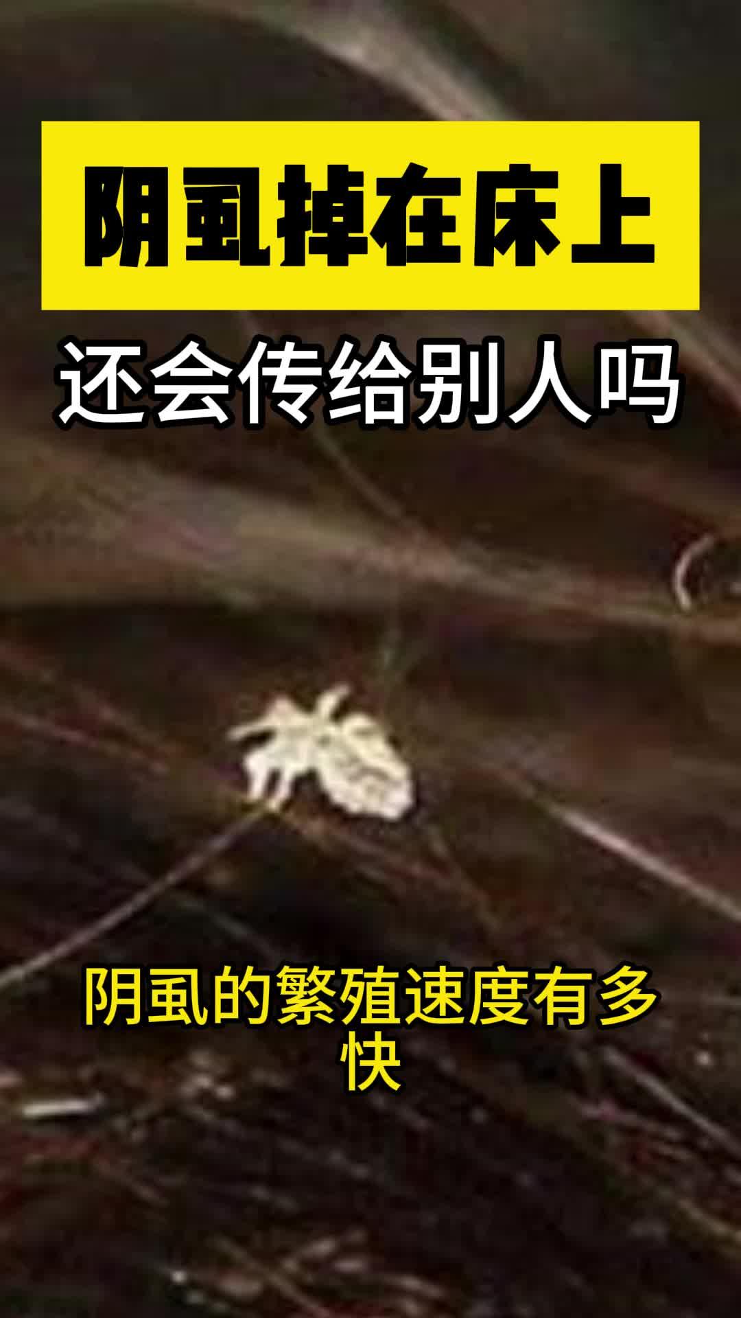 科普杀虫 的想法  阴虱掉在床上还会传给别人吗? 虱子