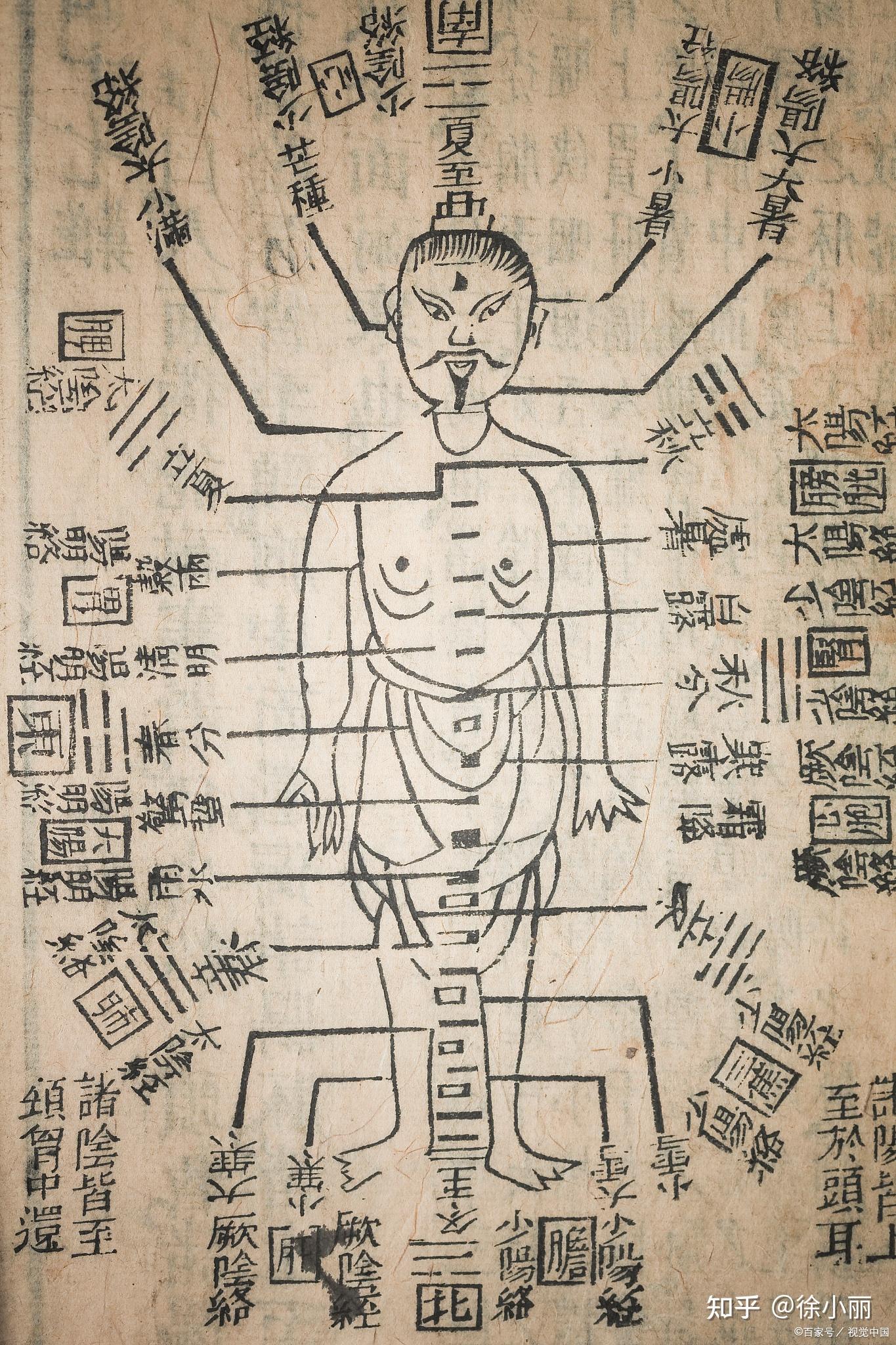 命门学说源流考 - 知乎