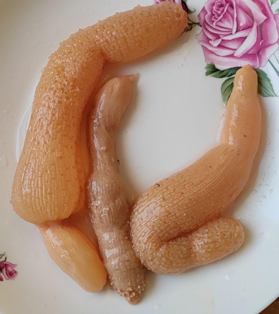 海边沙滩挖的有点像海肠一样的黄色的吸水会变胖是什么生物可以食用么