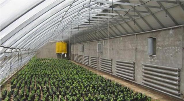 发电厂余热是否可以给蔬菜大棚供暖觉得能你信吗