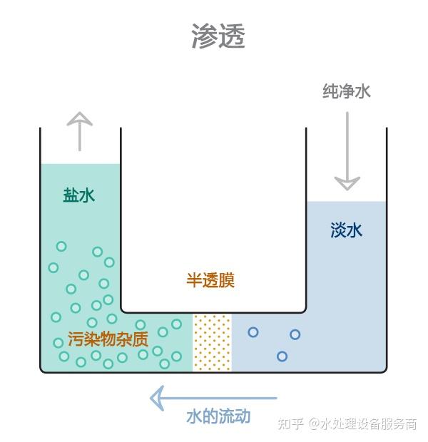 下图显示了渗透作用的工作原理.