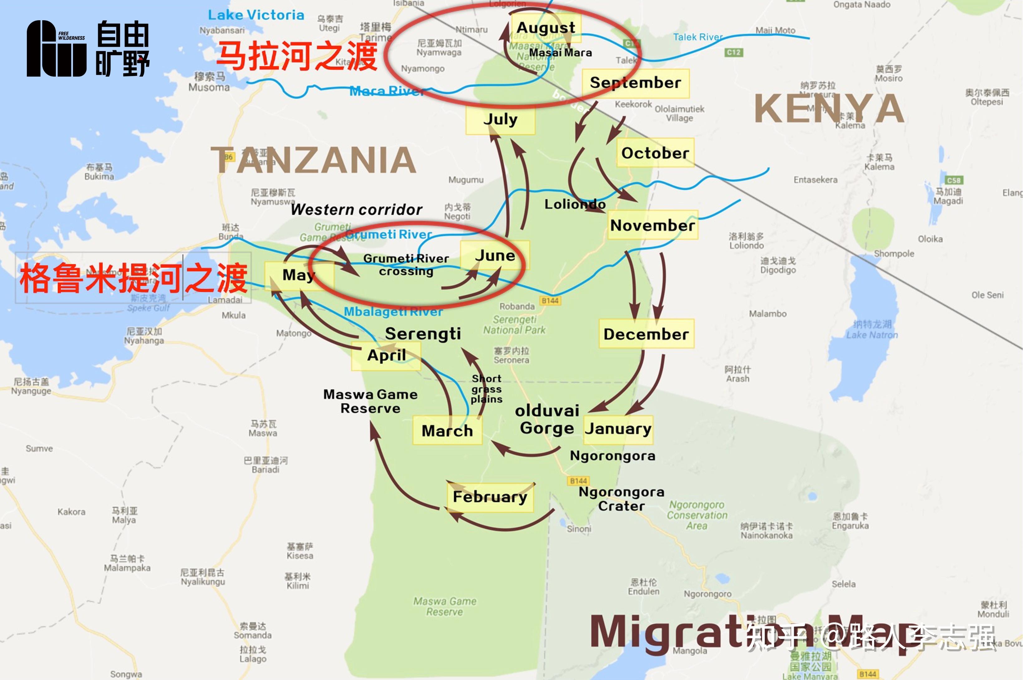 非洲大迁徙地图图片