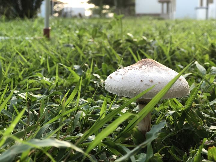 唯有热爱 我们才能抵御岁月漫长 知乎 唯有热爱 我们才能抵御岁月漫长 知乎