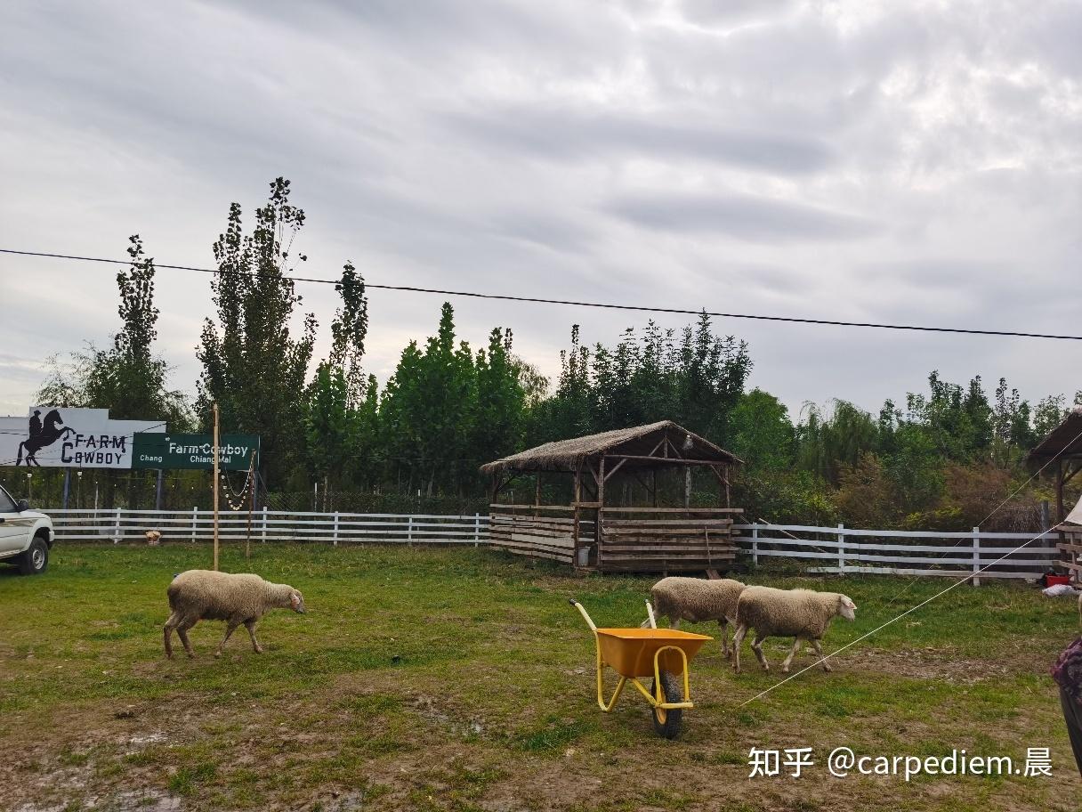 邯郸凌渡车友会小聚绵羊牧场 - 知乎