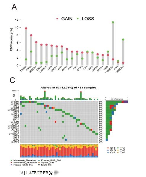 只知道单基因分析？基因家族分析也很哇塞！多组学分析+预后模型构建+简单验证，干湿结合分分钟拿捏4.9分生信! - 知乎
