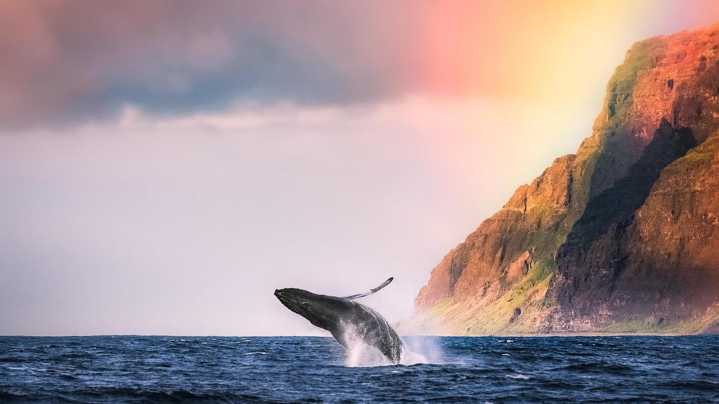 为什么还有那么多人在问计算机二级的事情啊今天一次解