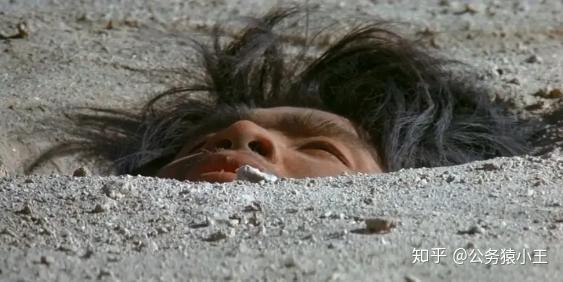 可可西里无人区有多可怕