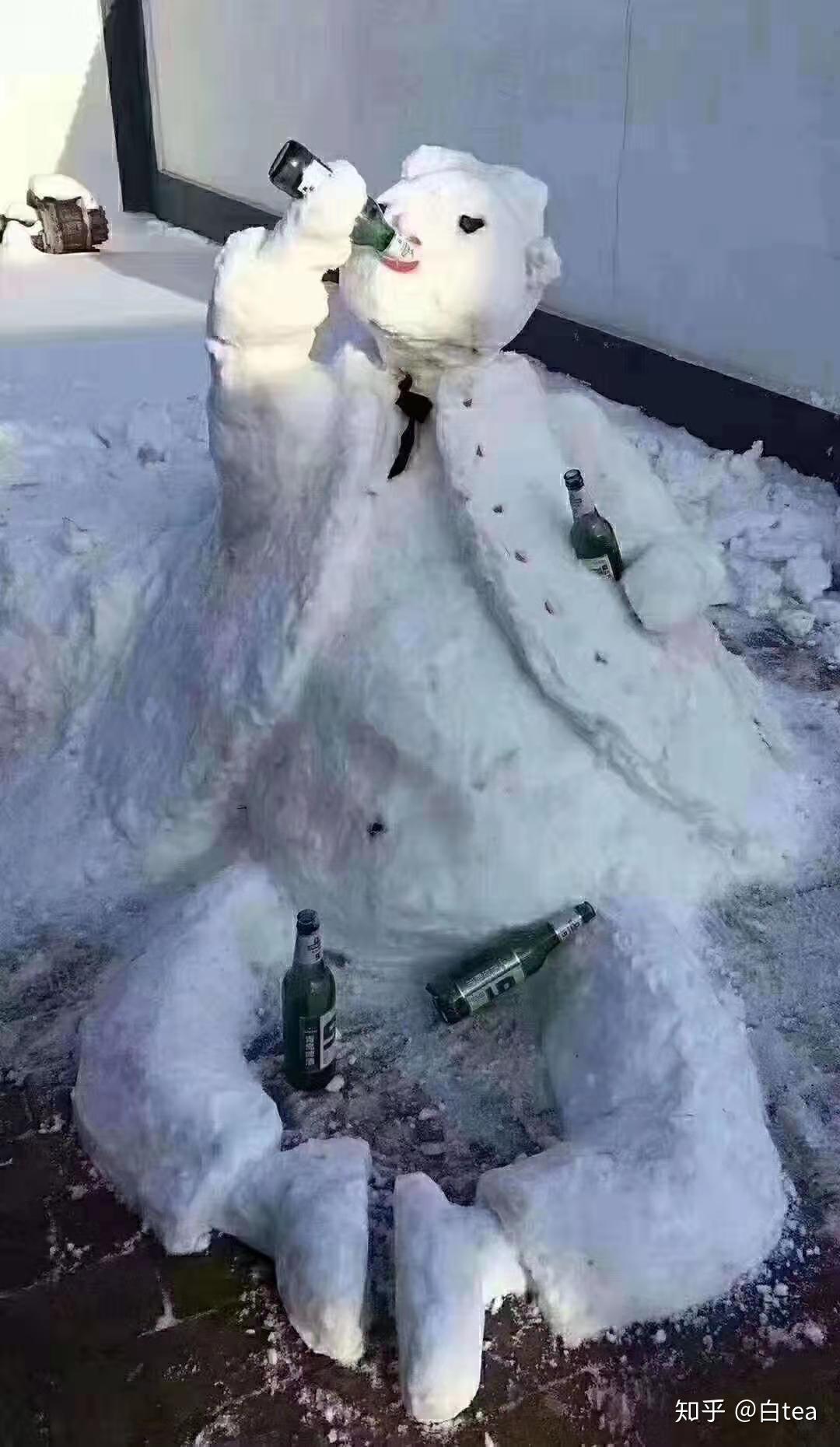 12 月 16 日北京又下大雪,北方人有哪些实用的堆雪人进阶技巧和打雪仗