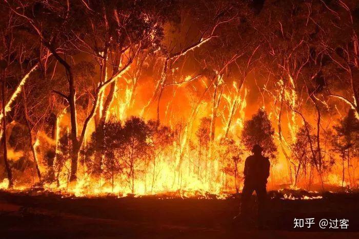 亚马逊雨林火灾澳大利亚森林火灾对地球和人类的影响
