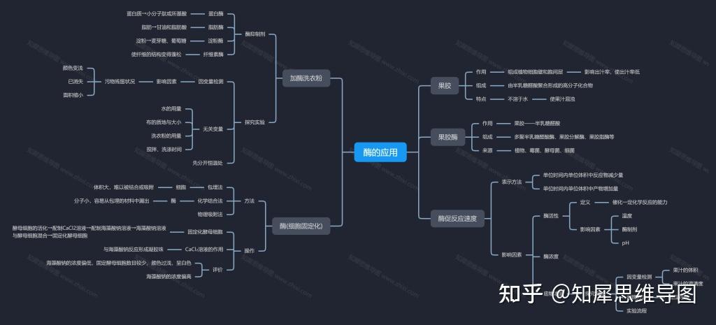 高中生物必修一思维导图酶的应用知犀思维导图