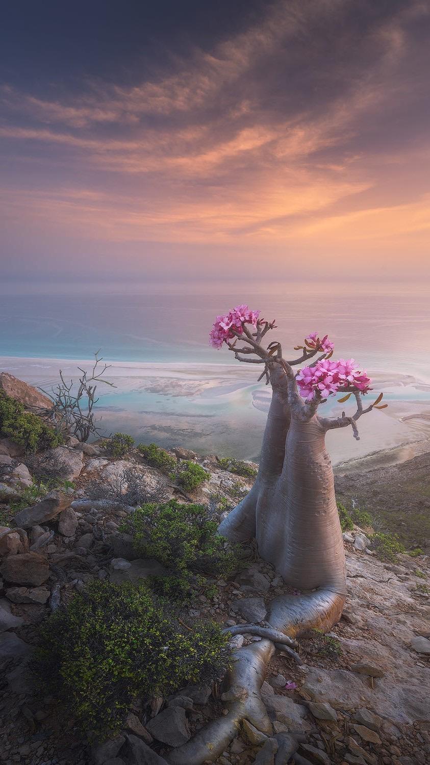 有哪些梦幻唯美,意境深远开阔,颜色淡雅,以景为主的的壁纸或图片?