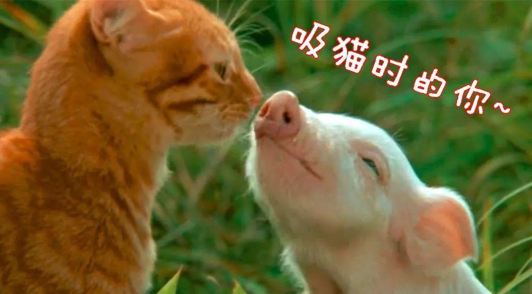 v2-adeebce7c06ec48976d409121a8d687b_1440w.jpg?source=172ae18b