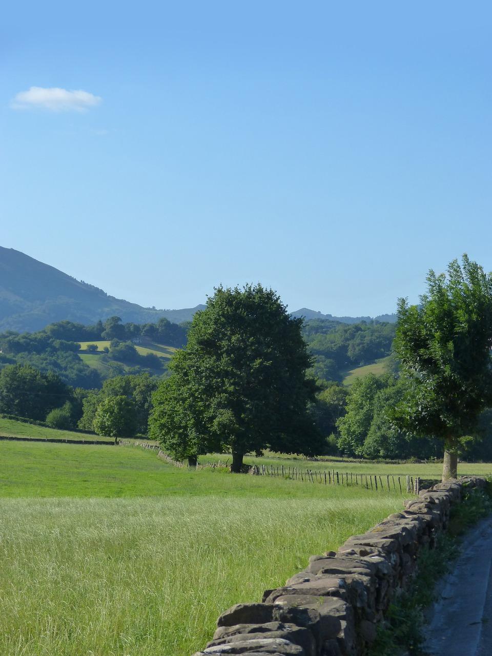 2. 拆除门上粘贴物