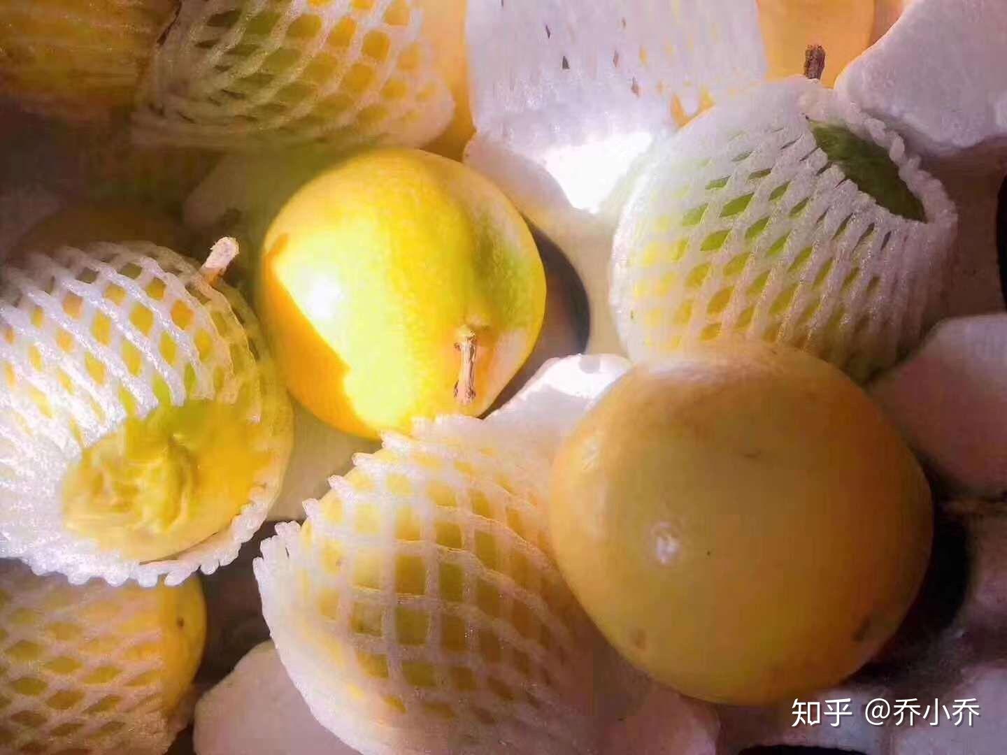 26爱情果黄金百香果