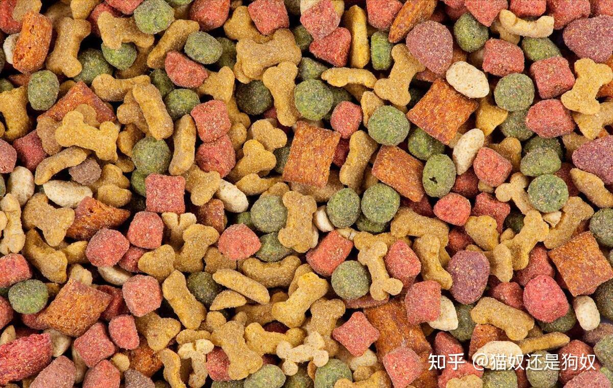 如何挑选一款优质狗粮从这几方面入手