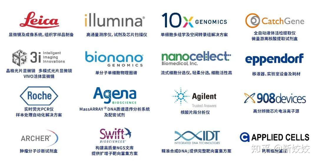 yy.vip易游-2026分子诊断行业市场规模与趋势深度剖析