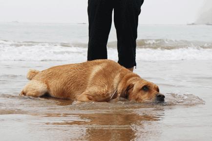震惊五一期间被困盒中的女人萌童季