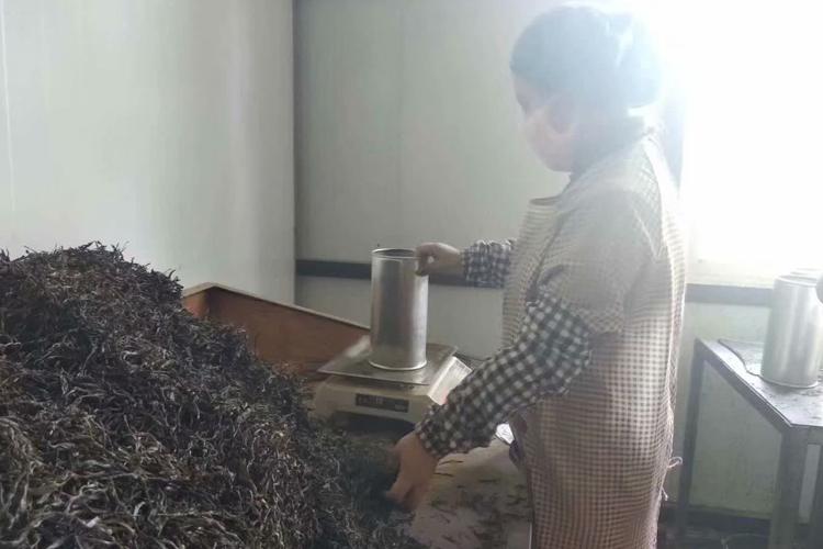 饼茶和圆茶压制加工工序流程 - 知乎