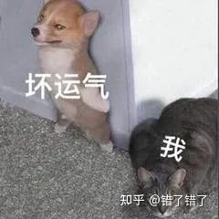 美团红包