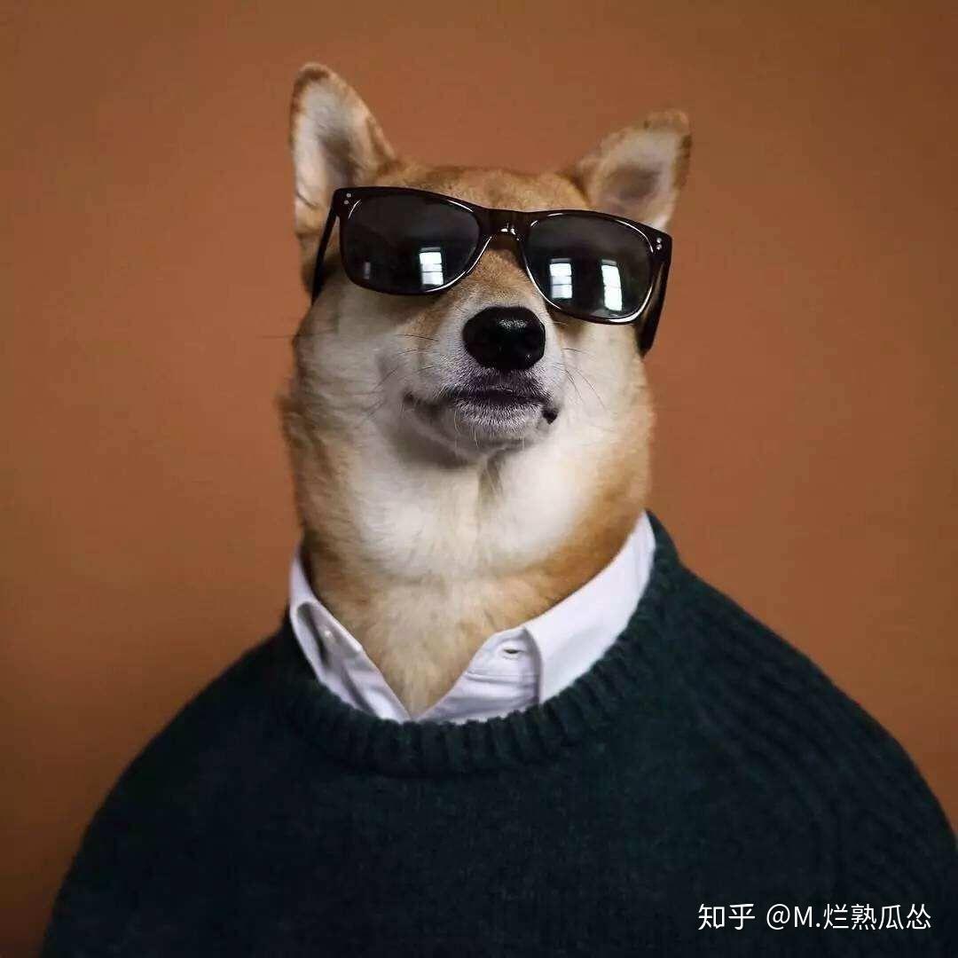 为什么很多男生很爱用狗的图片做头像