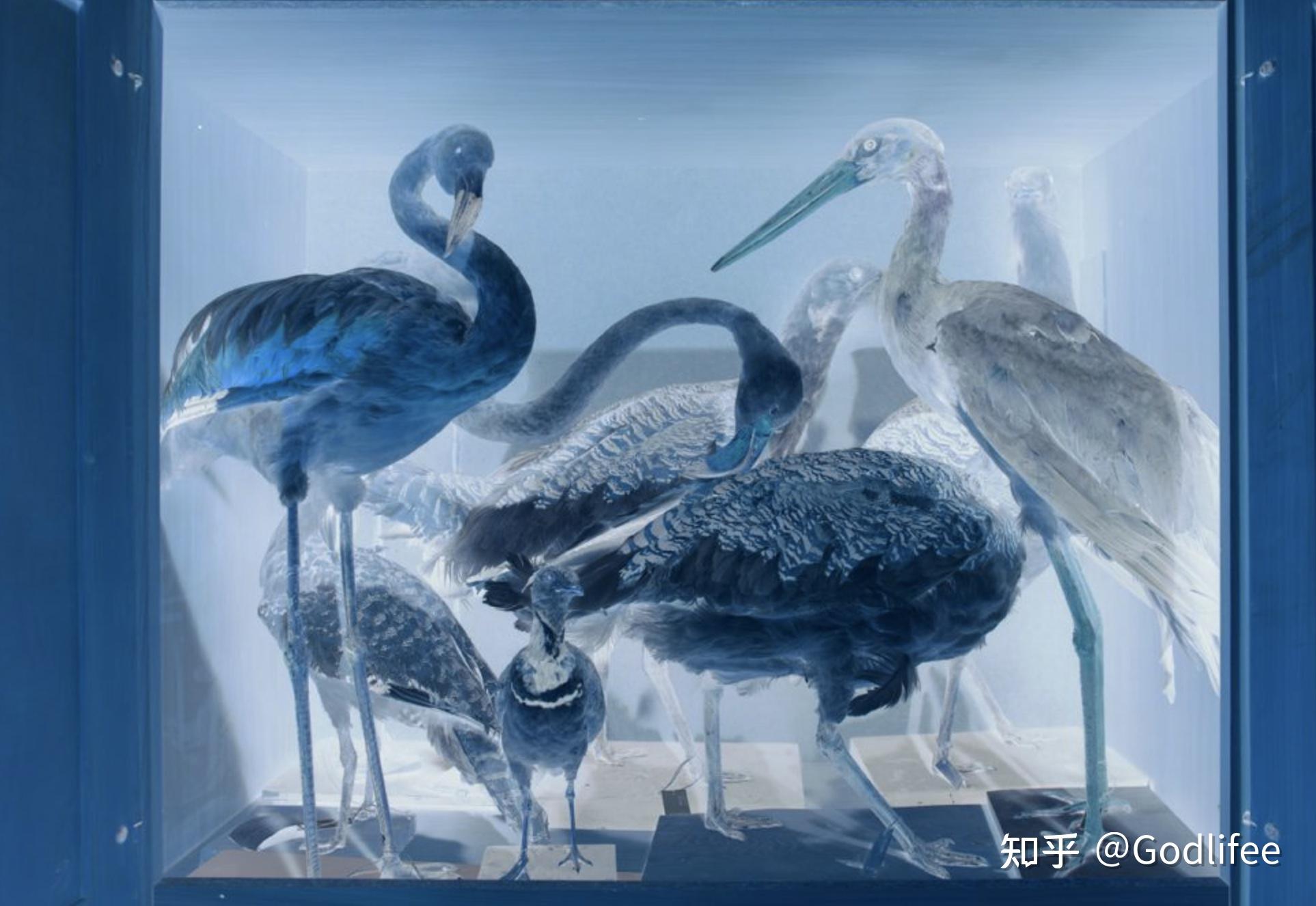 波兹南艺术大学