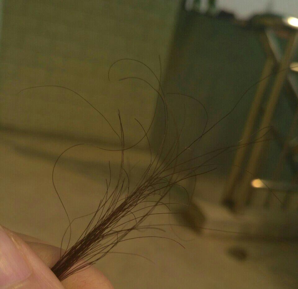 发质偏硬,发梢干枯弯曲分叉,该怎么护理? - 护发