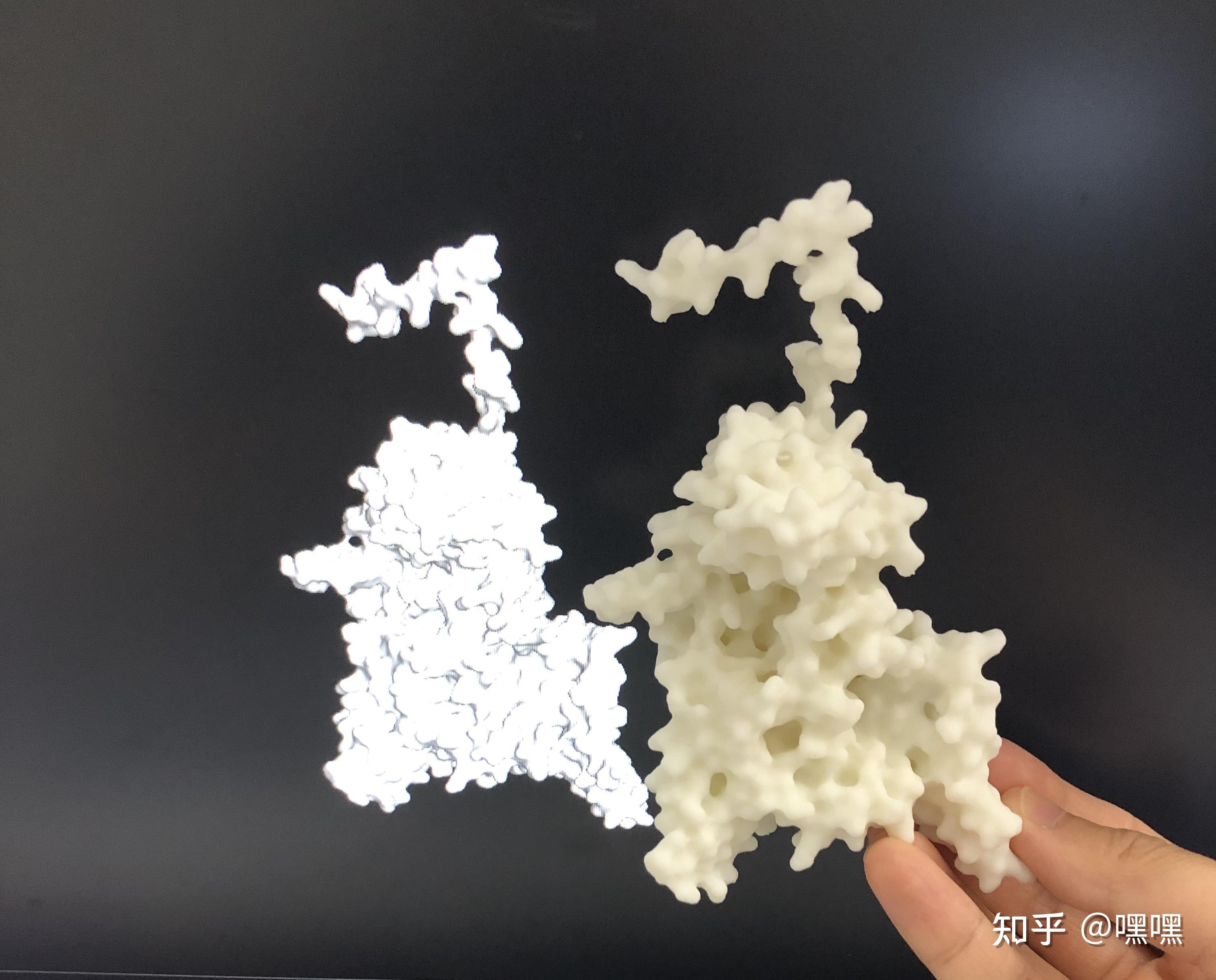 蛋白质结构surface3d打印