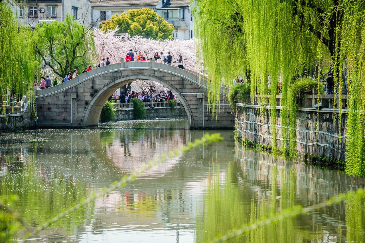 正是江南好风景 花开时节又逢君 江南赏春吃喝指南奉上 知乎 正是江南好风景 花开时节又逢君 江南赏春吃喝指南奉上 知乎