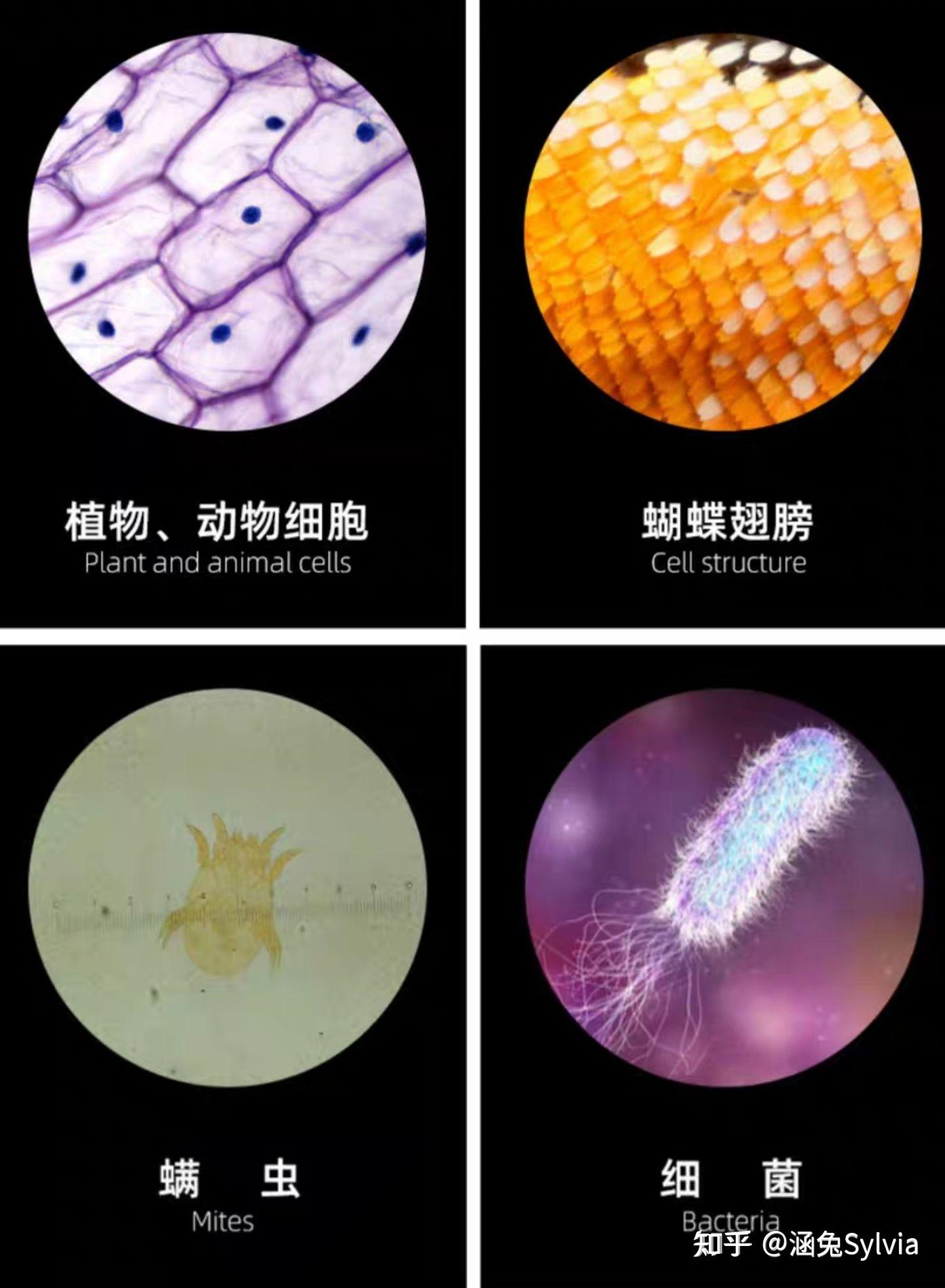 小男孩生日十岁生日送什么礼物好