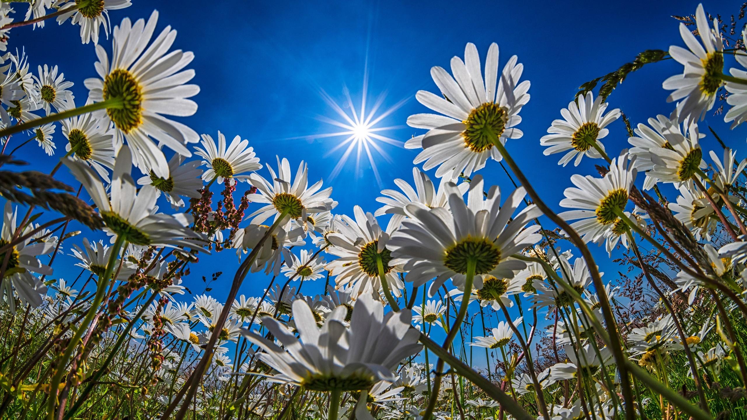 有哪些让人很舒服又不单调的电脑壁纸?