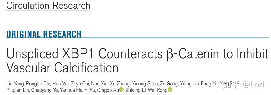 文献学习004——未剪切的xbp1 And β Catenin互作抑制血管钙化 知乎