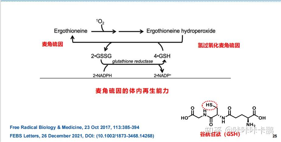 麦角硫因结构图片