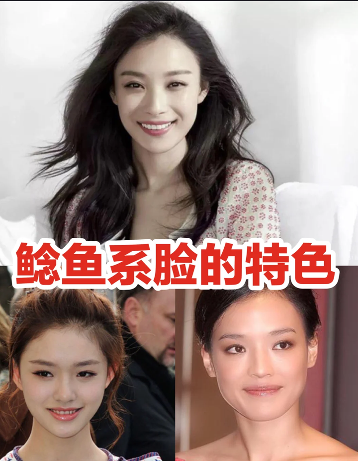 何晋龙解读:鲶鱼脸的特色是什么? - 知乎