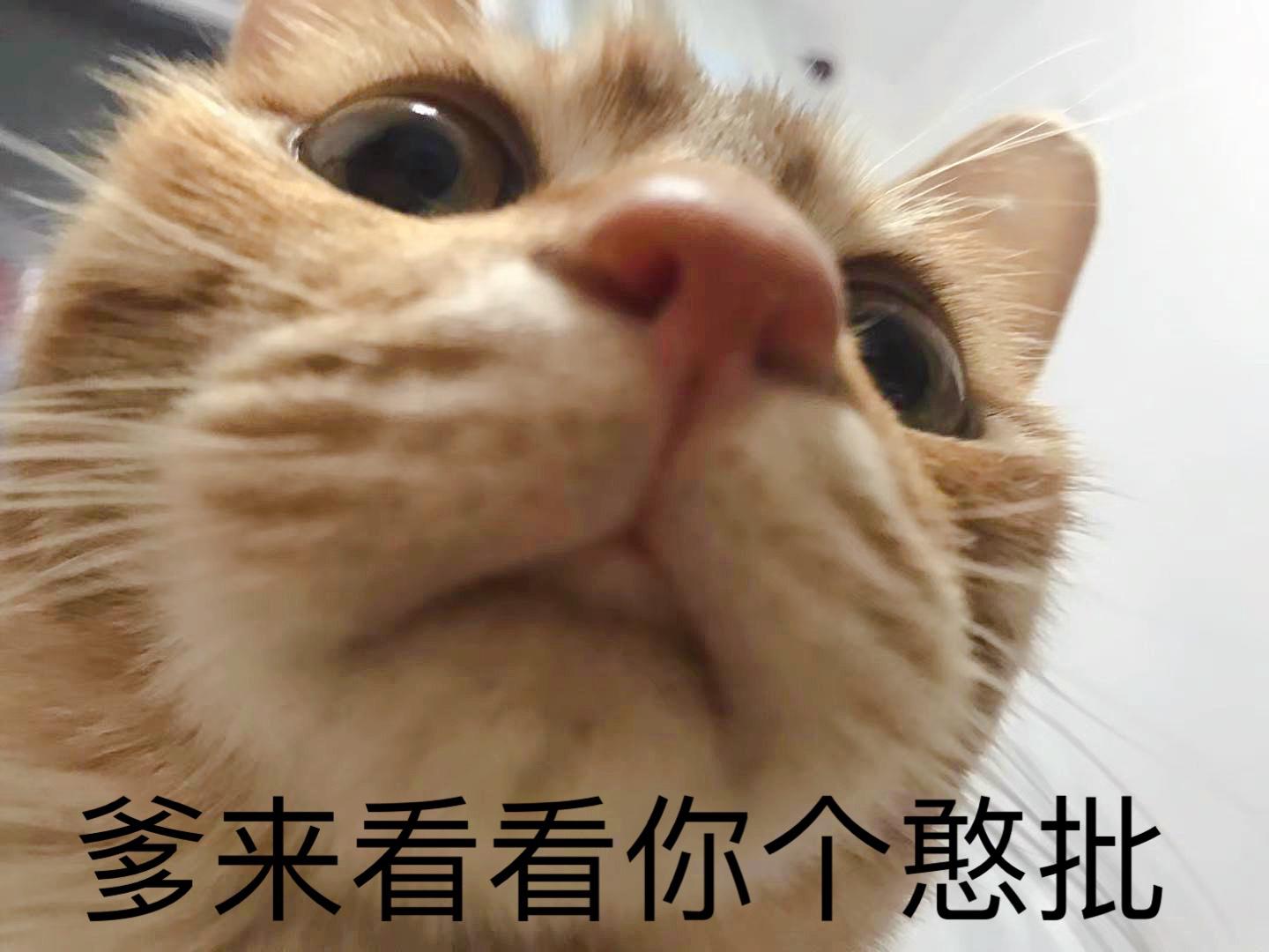 吃早饭时你爸爸突然告诉你其实你们家有300亿,你会怎么办? - 知乎