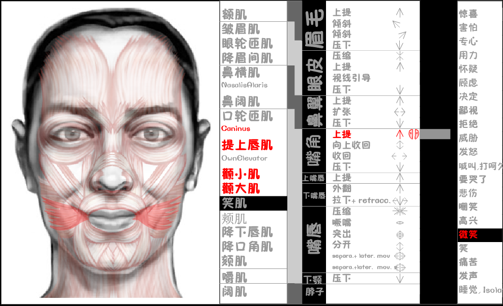 怎么练习笑容呢感觉自己笑得很僵并且一些小表情没有那么好康